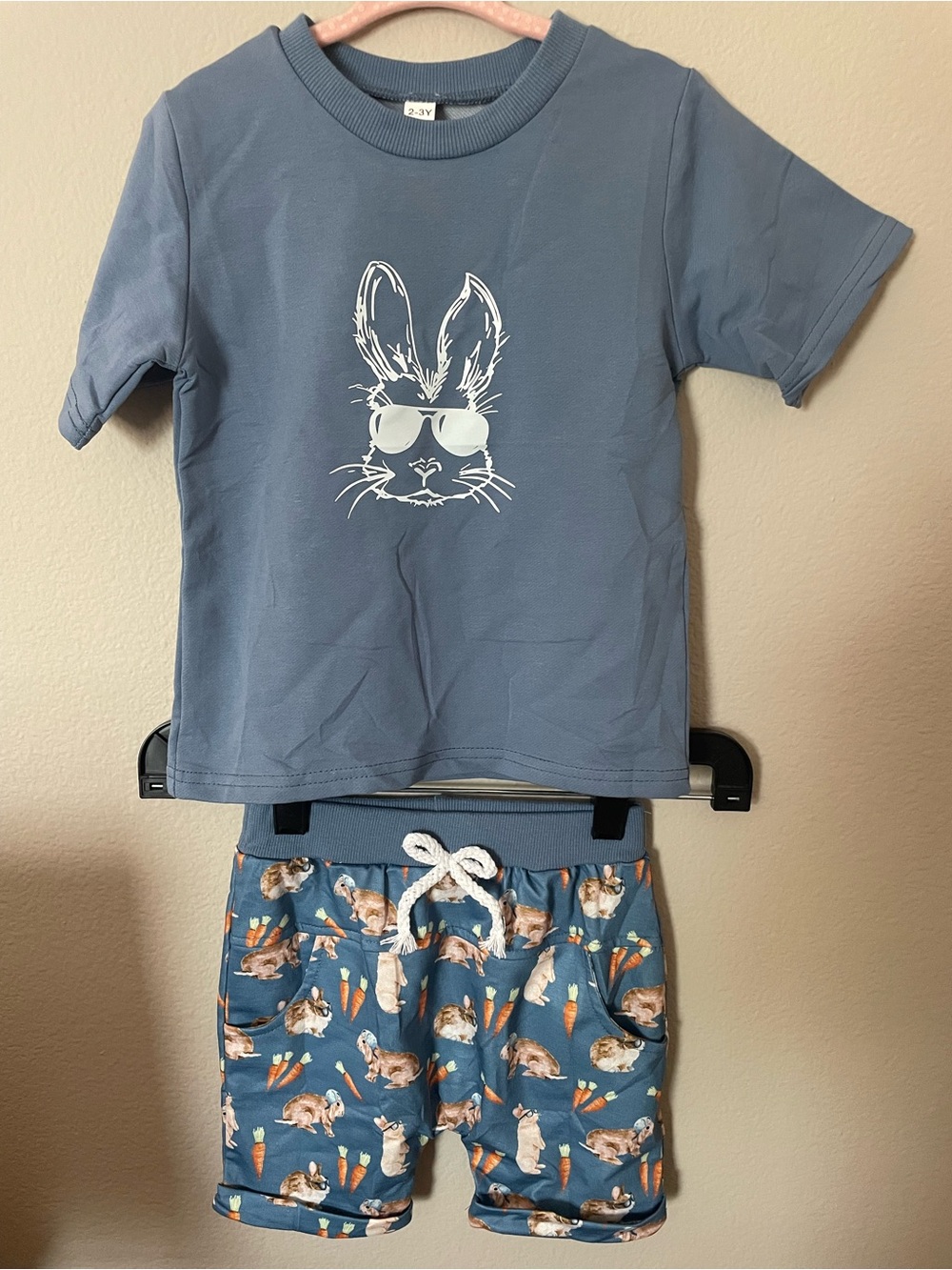 Toddler Blue Bunny Short & Shirt Set